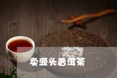 卖源头普洱茶/2023042676751