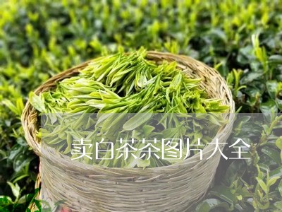 卖白茶茶图片大全/2023061568471