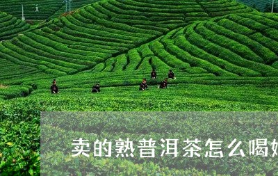 卖的熟普洱茶怎么喝好/2023062964149