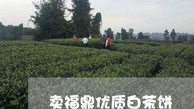 卖福鼎优质白茶饼/2023061517258