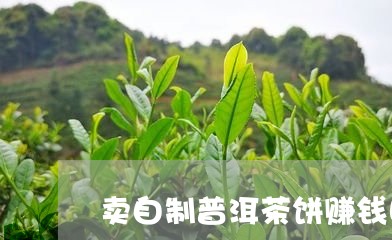 卖自制普洱茶饼赚钱吗怎么样/2023052928480