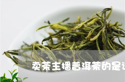 卖茶主播普洱茶的是谁/2023120719506