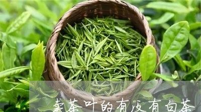 卖茶叶的有没有白茶/2023071536259