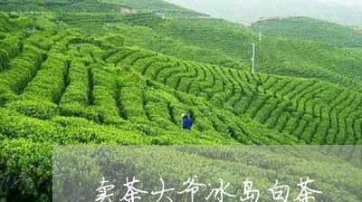 卖茶大爷冰岛白茶/2023082559393