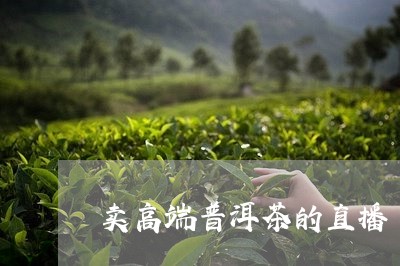 卖高端普洱茶的直播/2023110932504