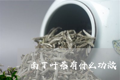 南丁叶茶有什么功效/2023042105268