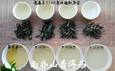 南乔山普洱茶/2023042577671