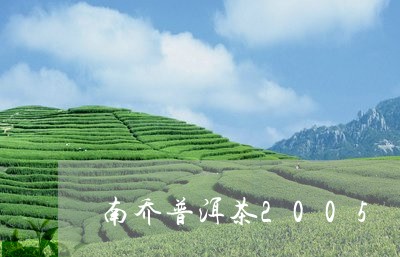 南乔普洱茶2005/2023120567260