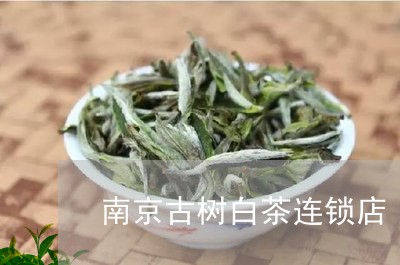 南京古树白茶连锁店/2023121747493
