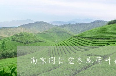 南京同仁堂冬瓜荷叶茶的功效与作用/2023060433624