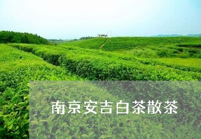 南京安吉白茶散茶/2023061386258