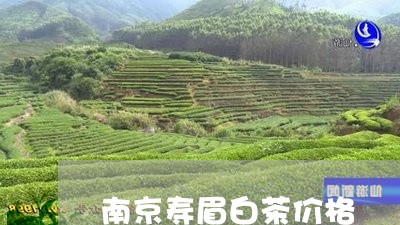 南京寿眉白茶价格/2023090895040