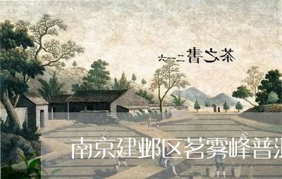 南京建邺区茗雾峰普洱茶/2023112898262