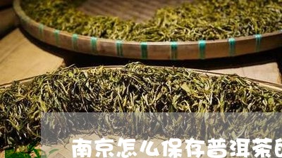 南京怎么保存普洱茶的保质期/2023110515469