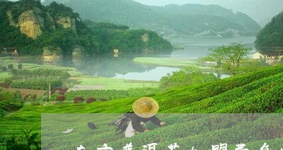 南京普洱茶加盟费多少/2023092523935