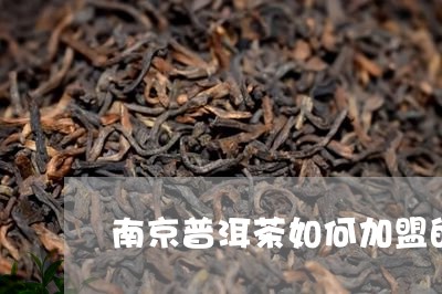 南京普洱茶如何加盟的/2023092592803