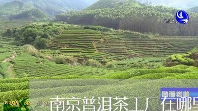 南京普洱茶工厂在哪里啊/2023082959484