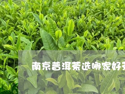 南京普洱茶选哪家好茶叶/2023050664814