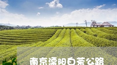 南京溧阳白茶公路/2023061311706