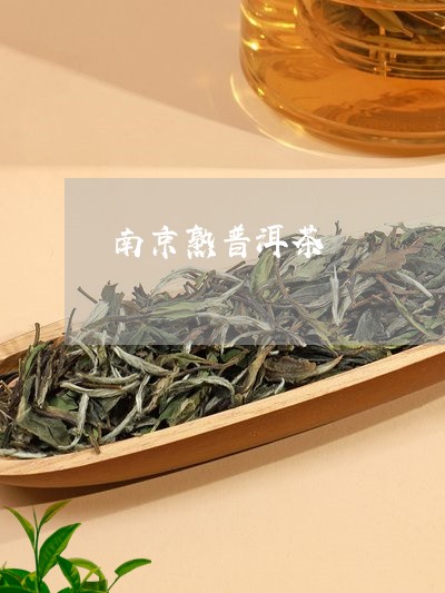 南京熟普洱茶/2023042772672