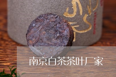 南京白茶茶叶厂家/2023061337279