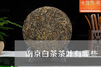 南京白茶茶叶有哪些/2023121746182