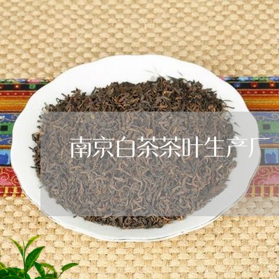 南京白茶茶叶生产厂/2023121759393