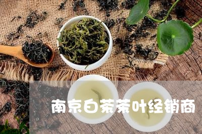 南京白茶茶叶经销商/2023071584049