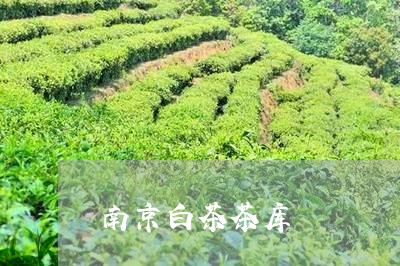 南京白茶茶库/2023051393947