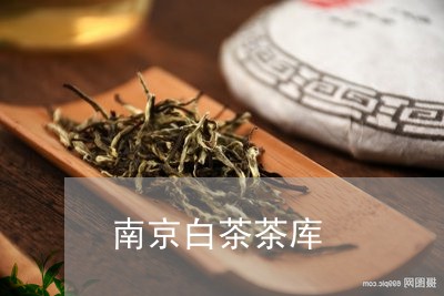 南京白茶茶库/2023051397250