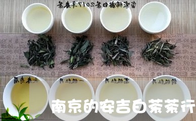 南京的安吉白茶茶行/2023071618583