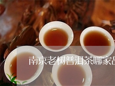 南京老树普洱茶哪家品牌好/2023112406048