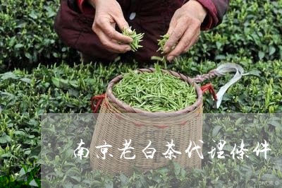 南京老白茶代理条件/2023121772726