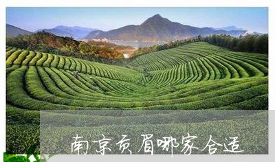 南京贡眉哪家合适/2023090700697