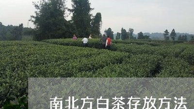 南北方白茶存放方法/2023121772616
