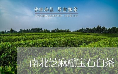 南北芝麻糊宝石白茶/2023071627160