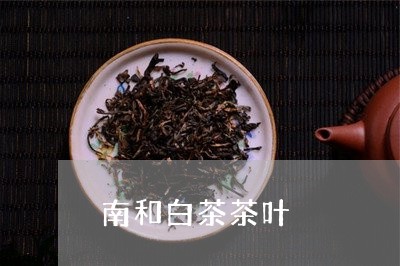 南和白茶茶叶/2023051301938