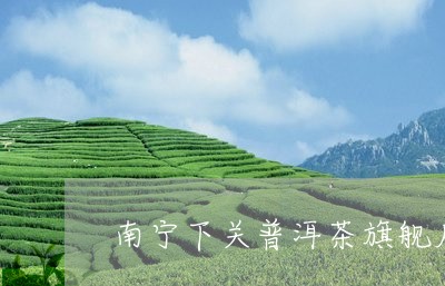 南宁下关普洱茶旗舰店/2023073029405