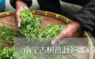 南宁古树普洱茶哪家好/2023082936168