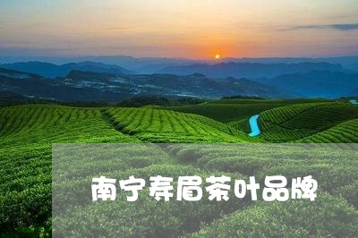 南宁寿眉茶叶品牌/2023061398506