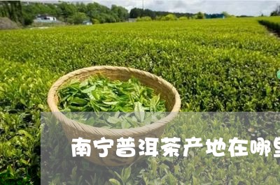 南宁普洱茶产地在哪里啊/2023120736182