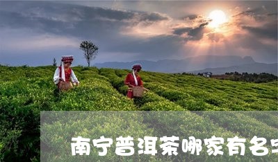 南宁普洱茶哪家有名字的茶/2023082924918