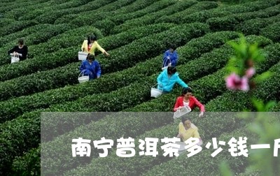 南宁普洱茶多少钱一斤/2023062867494