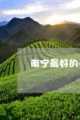 南宁最好的寿眉茶店/2023120506129