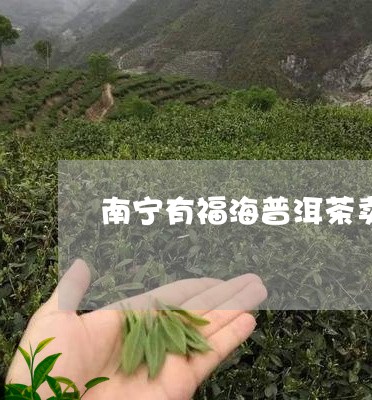 南宁有福海普洱茶卖吗/2023062146171