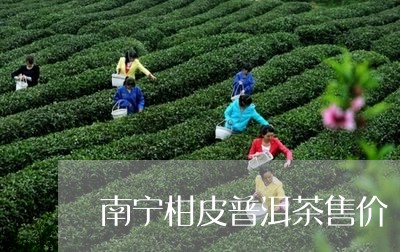 南宁柑皮普洱茶售价/2023082979470