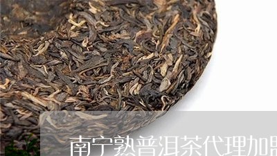 南宁熟普洱茶代理加盟/2023061491505