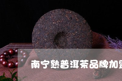 南宁熟普洱茶品牌加盟/2023092527193