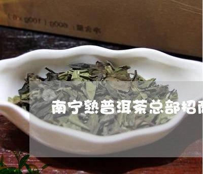 南宁熟普洱茶总部招商/2023092577261