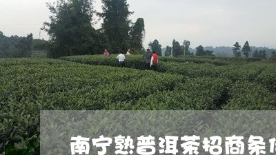 南宁熟普洱茶招商条件/2023061486584